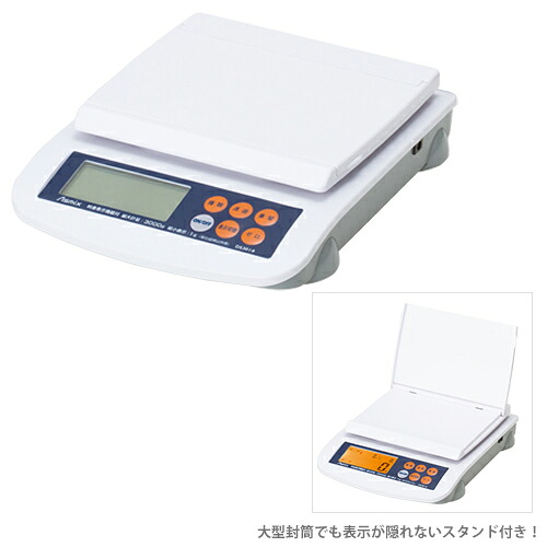 通貨価値書きあらわすデジタル規摸 DS3010 [製造会社取り寄せ]