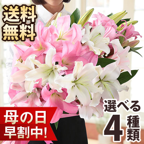 楽天市場 4 25 23時59分まで早割実施中 母の日 プレゼント ギフト 花 花束 花結び ユリ ゆり 百合 オリエンタルリリー ブーケ 楽天総合1位 送料無料 イベントギフト 21 Bunbun Bee ｂｕｎｂｕｎ ｂｅｅ