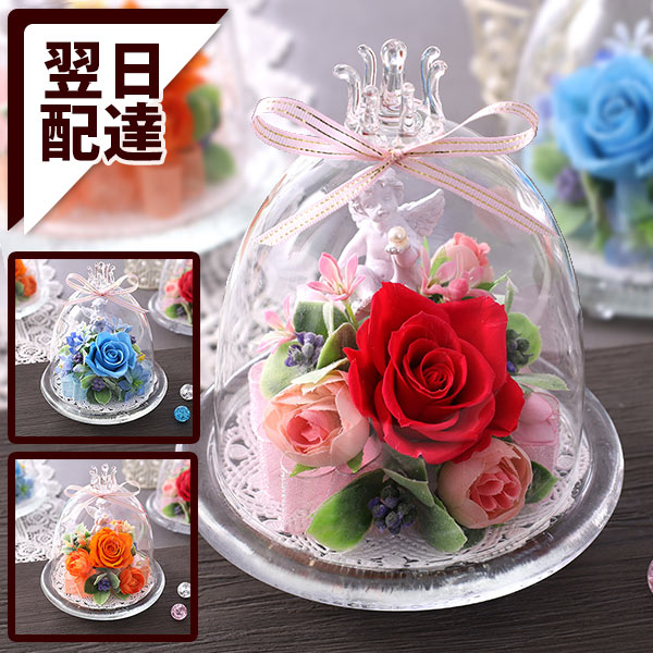 楽天市場】ハンドメイドキット プリザーブドモス 送料無料 苔 楽天市場】ハンドメイドキット プリザーブドモス 送料無料 苔
