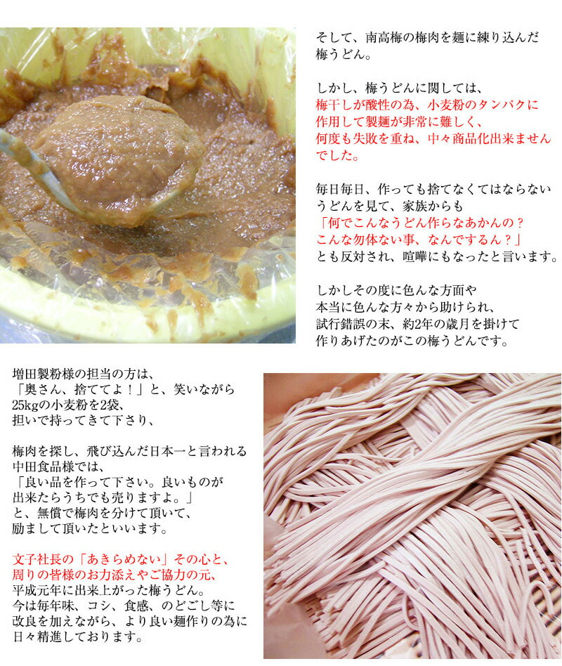 丸ざる入冷し梅うどんセット(大盛り5人前)【送料無料※北海道、沖縄除く】ボリューム満点麺大盛り150g、低塩梅干、めんつゆ、ざる付【うどん日本一選手権全国2位】【国際優秀味覚賞受賞】人気商品あす楽対応残暑見舞い