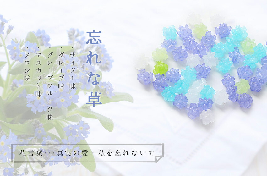 お菓子 子供 お返し 上司 感謝 大量 こんぺいとう メッセージ プレゼント 送別会 金平糖 おしゃれメッセージ入り お礼 プチギフト 退職 父 退職祝い