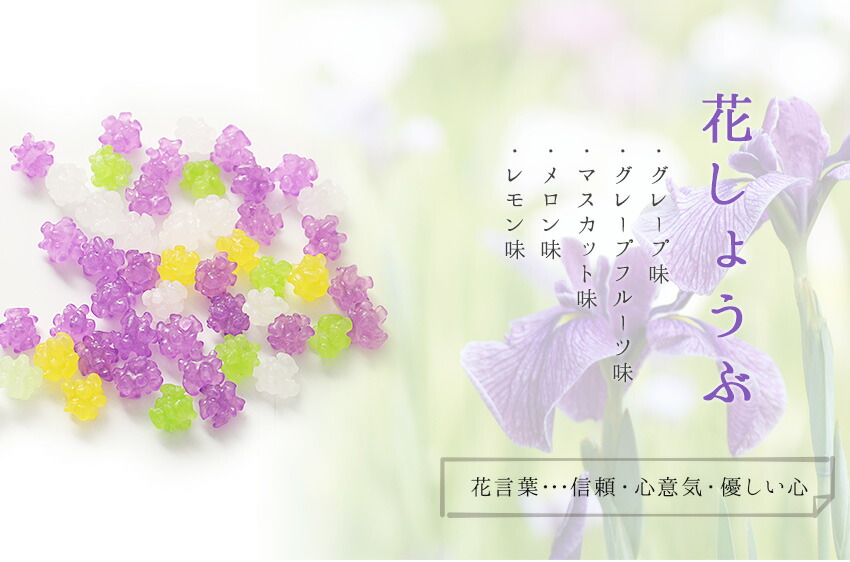 お菓子 子供 金平糖 父 退職 お礼 卒業 おしゃれメッセージ入り プレゼント 送別会 お返し 感謝 こんぺいとう 上司 プチギフト メッセージ 退職祝い 大量