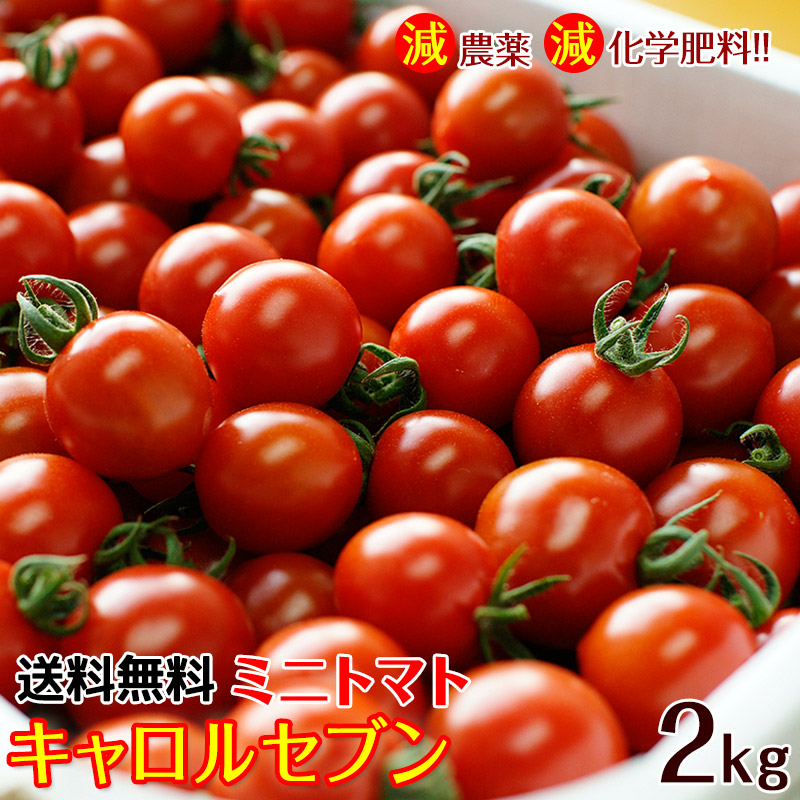 ミニトマト キャロルセブン 2kg減農薬・減化学肥料で栽培する、驚きの糖度と絶妙のコク、濃厚な風味が余韻を引く美味しいトマト