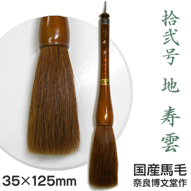 新着知らせ