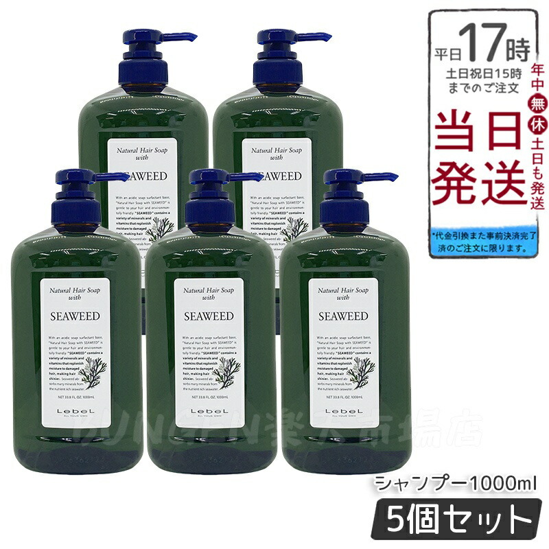 【5個仕掛ける】ルベル 自然的 髪の毛 石ケン ウィズ SW 1000ml