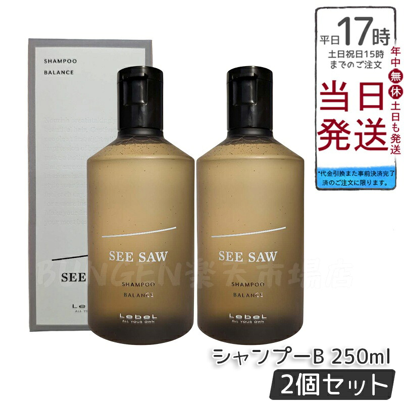 【2個セット】SEE/SAW BALANCE ヘア＆スキャルプシャンプー B バランス 250ml ヘアトリートメント サロン・美容室専売品【LEBEL ルベル SEE/SAW シーソー】