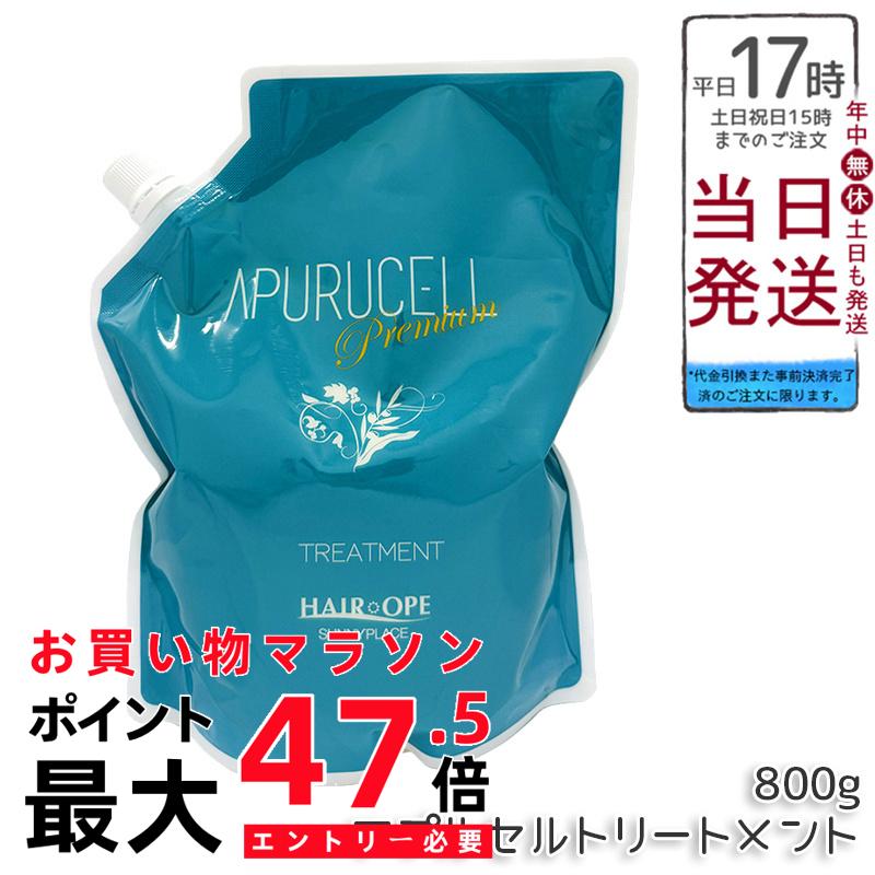 サニープレイス アプルセルトリートメント 割り増し金 詰替 800g  レフィル 不都合世話をする 養毛剤 保湿 赤ちょうちん独り占め品 美容室独り占め 保湿 髪の毛世話をする 艶髪 取りつくろう
