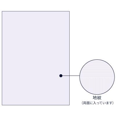 ヒサゴ ／ マルチプリンタ帳票 コピー偽造予防用紙 浮き文字タイプ A4両面 1000枚（BP2110Z）HISAGO