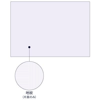 ヒサゴ ／ マルチ印刷者帳票 転写物捏ち上げる止めること質問用紙 釣り浮き文字記号印字機 A3片面 600枚（BP2111Z）HISAGO【貨物輸送無料】