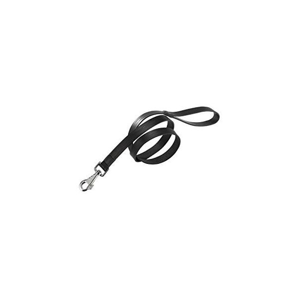 8010690055800 【4個入】 ナチュラル G 10／120 リードブラック 75300917【キャンセル不可】｜文具のブングット