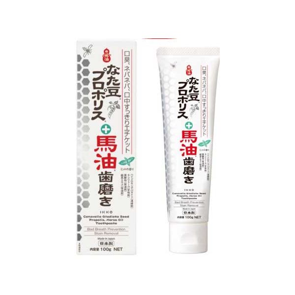(LINEクーポン有)4930598151852 【12個入】一光ハミガキ 100g【キャンセル不可】 IKKO なた豆プロポリス＋馬油歯磨き ポスト投函 一光なた豆プロポリス馬油配合歯磨き 馬油シリーズ 歯みがき粉 イッコー