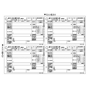 (LINEクーポン有)ヒサゴ GB1155 給与支払報告書 レーザープリンタ用 令和版 HISAGO レーザープリンタ帳票｜文具のブングット 11,548円
