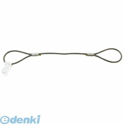 【個数：1個】大洋製器工業 JRWR12X4 ＪＩＳロック止ワイヤ Ｏ／Ｏ １２×４Ｍ ３００１６７１