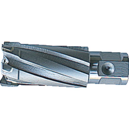 【即納在庫品】「直送」育良精機 CCSQ310 ３５ＳＱクリンキーカッター 刃径３１．０ｍｍ 大見 35Sクリンキーカッター 大見工業 OMI