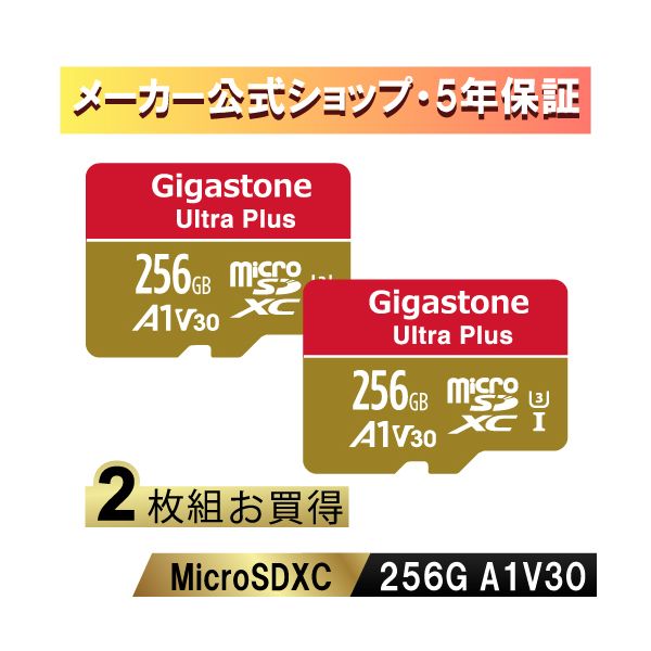 (LINEクーポン有)Gigastone GJMXR-256GV3A1100R-2PK Nintendo Switch確認済マイクロSDカード 256GB 2枚セット SDXC microSD microsdカードA1 V30 U3 クラス10 Ultr