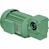 椿本チェイン RS CSMA040-160H30 クローゼモータ CSMA040160H30