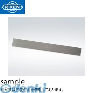 (LINEクーポン有)理研計測器 RSHF-1000Y 普通形ストレートエッジ RSHF1000Y