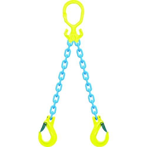 【即納在庫品】「直送」ＧｒａｂｉＱチェーンスリングセット MG2EGKNA6 チェーンスリングセットＭＧ２－ＥＧＫＮＡ６ チェーン長＝２ｍ
