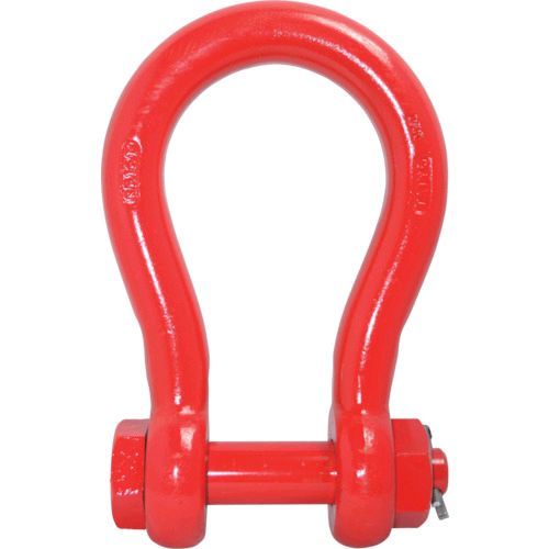 【即納在庫品】「直送」大洋 RB16T 軽量シャックル ＲＢ－１６ｔ １０６２７６６ RB-16T 331-9245