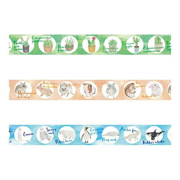 楽天市場】マスキングシール アクアデザイン Pinebook パインブック