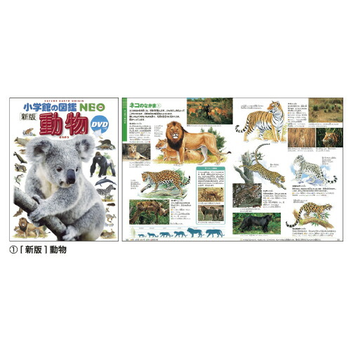 Ac-131/[新版] 動物 小学館の図鑑・NEO① 2018年6月20日新版第11
