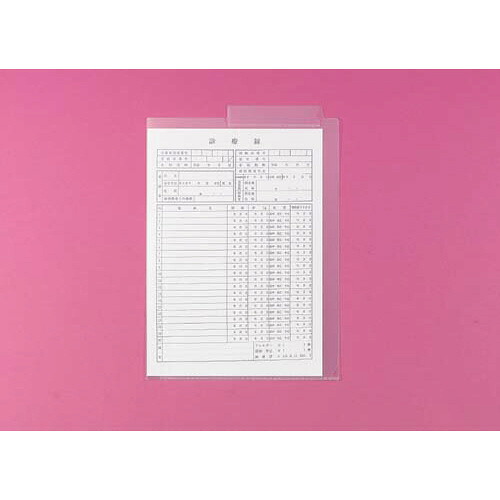 カルテフォルダー Ａ４ シングル隠し ２００枚入 HK7708ﾐ【リヒトラブ】