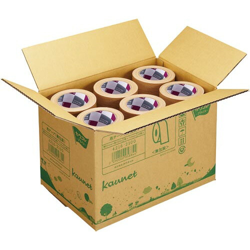 布磁気テープ 無荷造り手合い １箱（３０巻）4216-2100【カウサイバー空間】