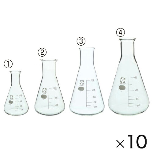 (3)三角フラスコ　３００ｍｌ（１０個） 【柴田科学】