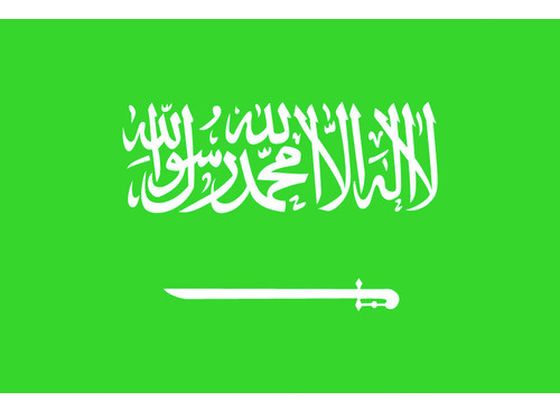 【お取り寄せ】東京製旗 国旗No.1(70×105cm) サウジアラビア 416302