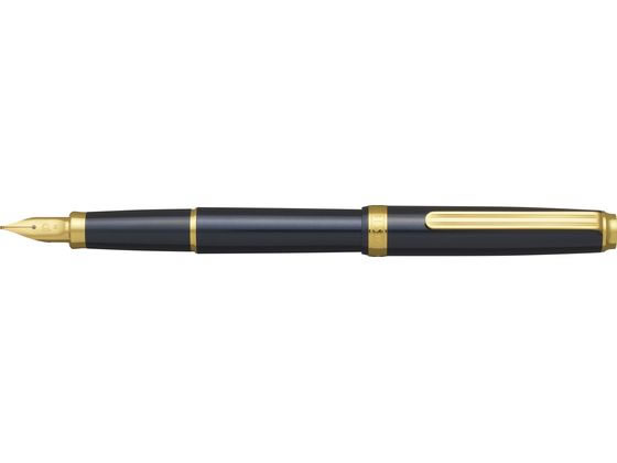 プラチナ 万年筆 BISO ネビュラブラック 細字 PTL-15000 1-2|BUNGU便