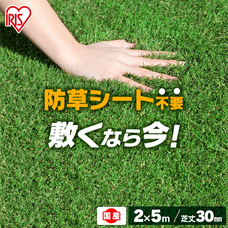 人工芝 ロール 2m 5m 芝丈30mm Rp 3025送料無料 アイリスオーヤマ 防草人工芝 防草 芝生 リアル人工芝 雑草対策 雑草防止 雑草 芝 ベランダ 国産 ガーデニング バルコニー 0cm 500cm 芝丈3cm ロールタイプ 園芸用品 アイリスソーコー Enetpoint 現品