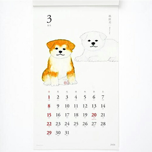 10%OFFーݫ󡽫ーƫ󫰫髤2026ҴЪーڷ˿ثëー׫ーーC-1669-YZ