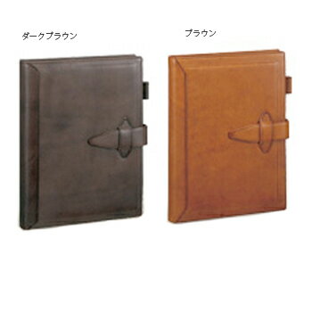 【10%OFFクーポン券】レイメイ ダヴィンチグランデ ロロマクラシック 取り合わせ万覚え帳 A5 (輪っか20粍) うす暗い赤銅色 製造業者品番DSA3010E