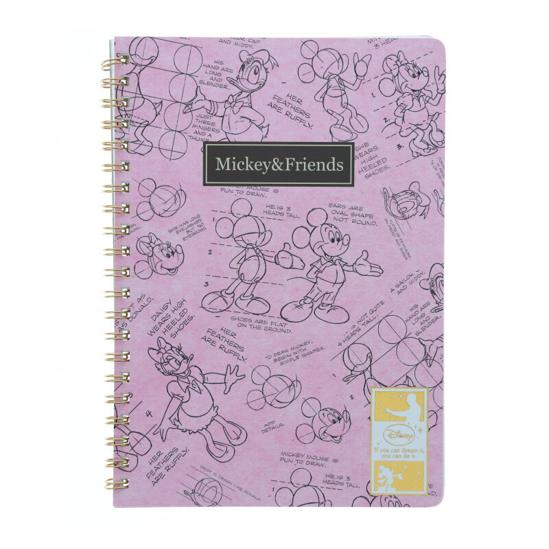 魔法にかけられて ディズニー DISNEY ノート グッズ 魔法にかけられて ディズニー DISNEY ノート グッズ ますみ on X: