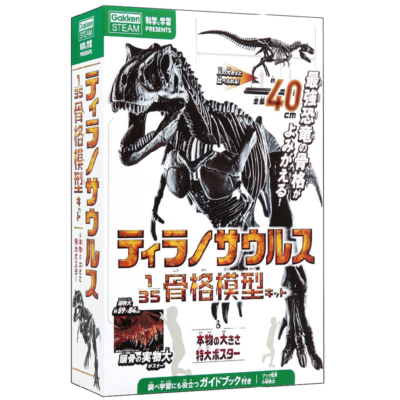 楽天市場】【全品ポイント増量!】 学研 ティラノサウルス1/35骨格模型