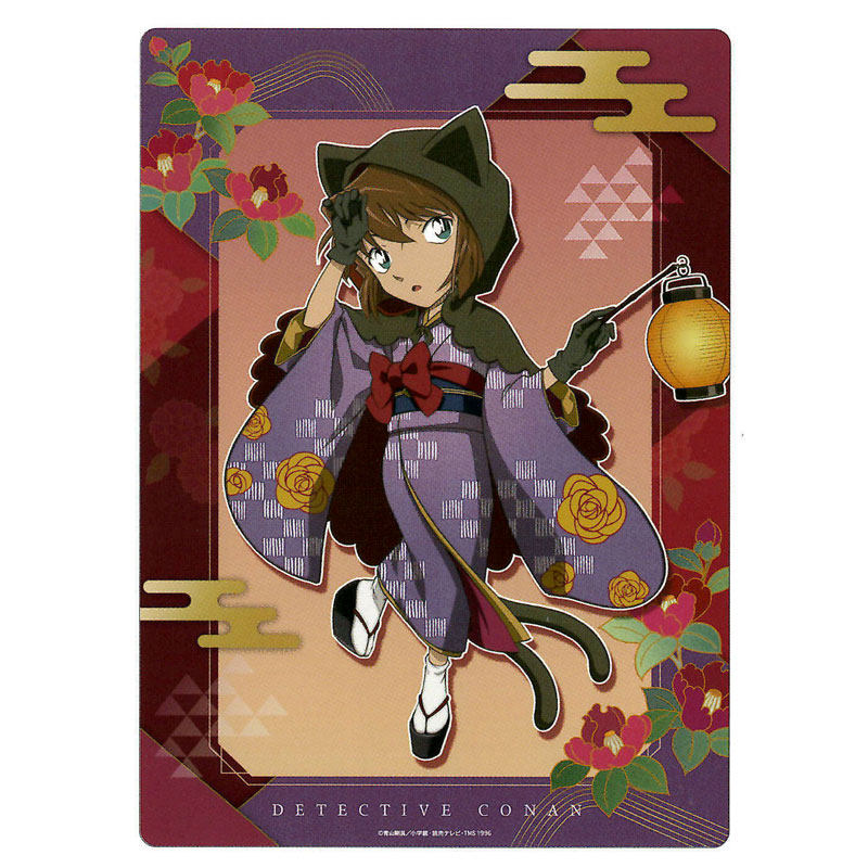 楽天市場】名探偵コナン 下敷き B5 灰原哀 天体観測柄 116445 [M便 1