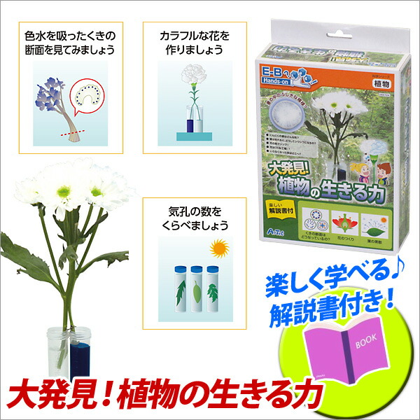 楽天市場 お取寄 夏休み 工作キット 小学生 手作り キット 自由研究 大発見 植物の生きる力 メール便不可 文具王のｏｓｋ