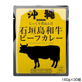 沖縄北谷自然海塩 沖縄石垣島和牛ビーフカレー 160g&times;30個 P7｜ブングショップ
