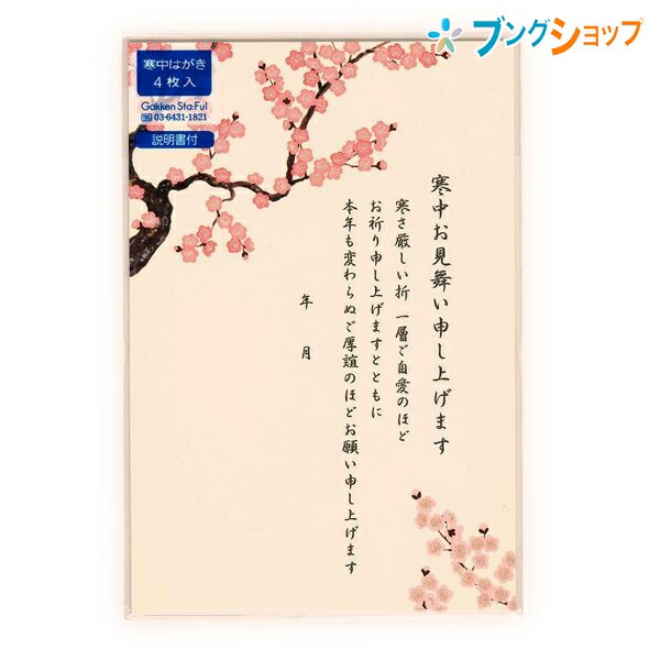 楽天市場 学研ステイフル 喪中はがき 寒中ポストカード 梅ピンク S 854 Gakken 年賀ご挨拶 年賀状返礼 喪中用寒中はがき 服喪中葉書き 文書 印刷 年賀欠礼用はがき ブングショップ