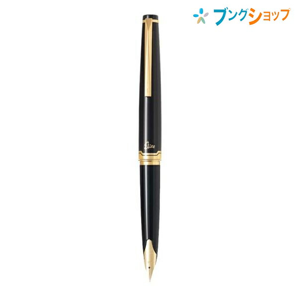 Elite  パイロット万年筆 黒 金 新日本パイロット万年筆 14K ゴールドチップ 95s エリート 95