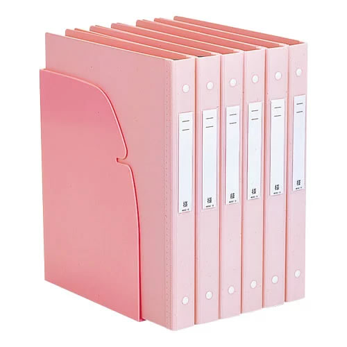 リヒトラブ カルテフォルダースタンド A4 ピンク HK860-5 / 2セット