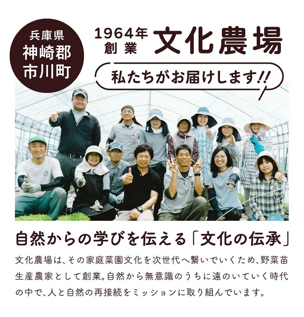 家庭菜園用培土文化の土家庭菜園土培養土培土初心者元肥入りはじめての家庭菜園キッチンガーデン土壌改良土づくり