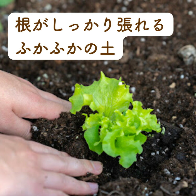 家庭菜園用培土文化の土家庭菜園土培養土培土初心者元肥入りはじめての家庭菜園キッチンガーデン土壌改良土づくり