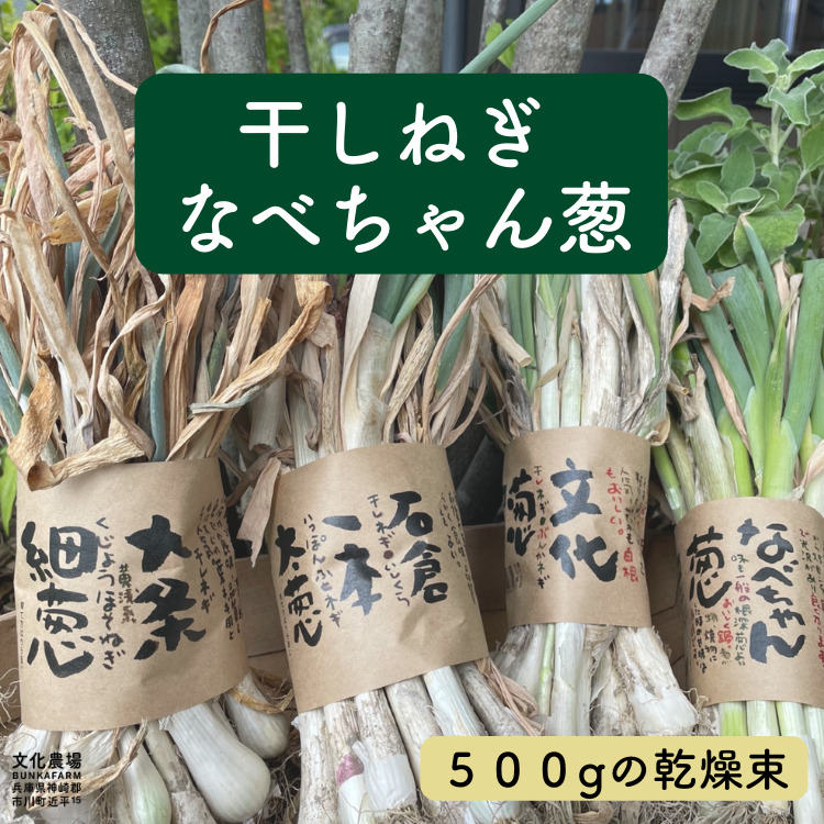 九条太 干しネギ(約30本) 野菜 | autonoma.performlead.com
