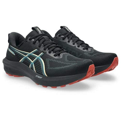 asics アシックス ランニングシューズ GT-1000 14 GTX【メンズ】 2026SSモデル　1011C078