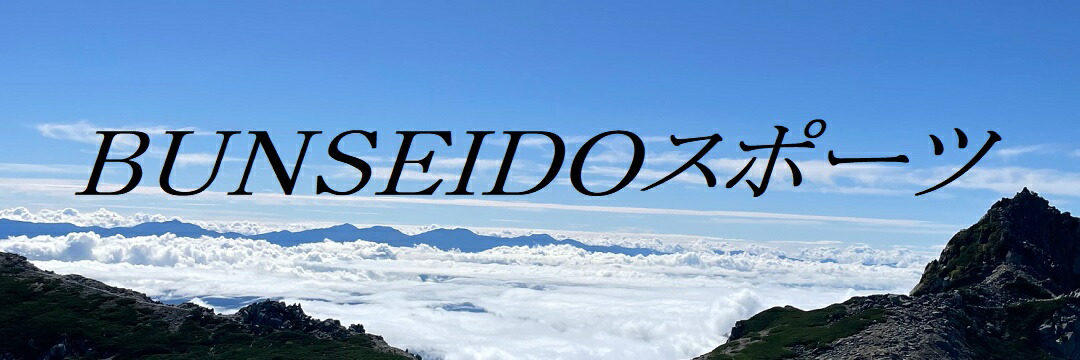 BUNSEIDO���ݡ���