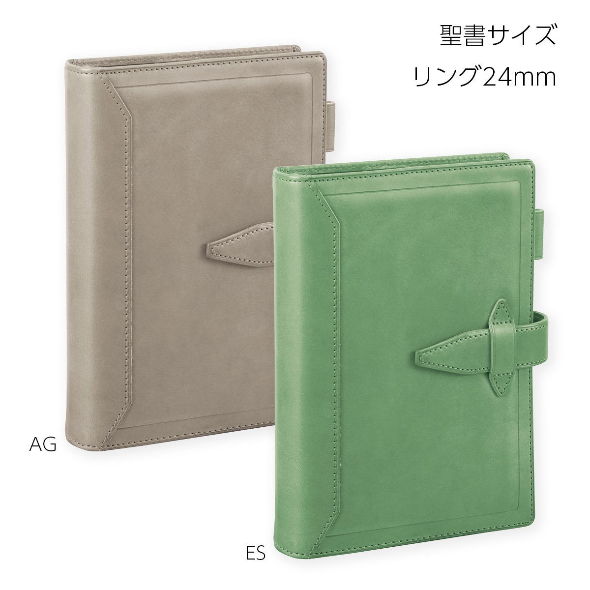 楽天市場】【限定】 ダ・ヴィンチ グランデ ロロマクラシック A5