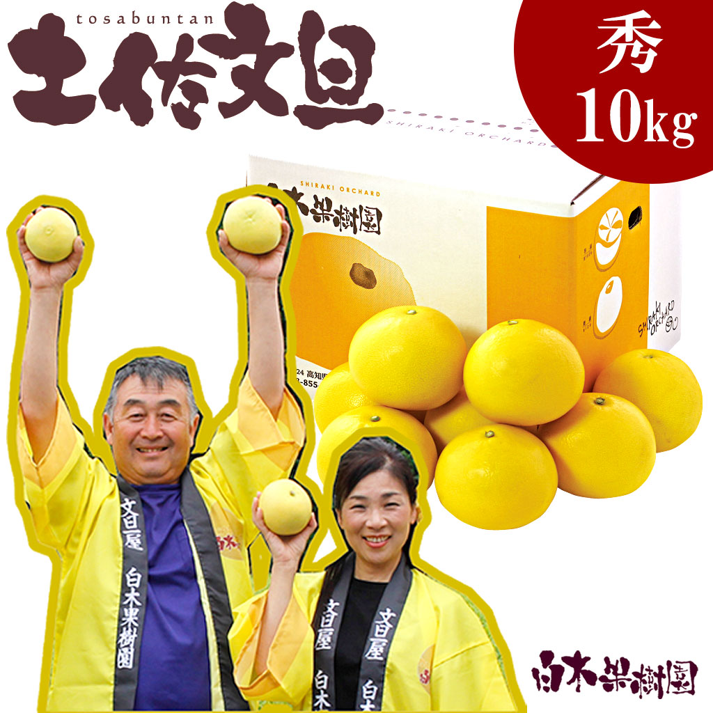 5L4Lサイズ　文旦　柑橘　王様　10kg を2箱 04 5L4Lサイズ 文旦 柑橘 王様 10kg を2箱 03