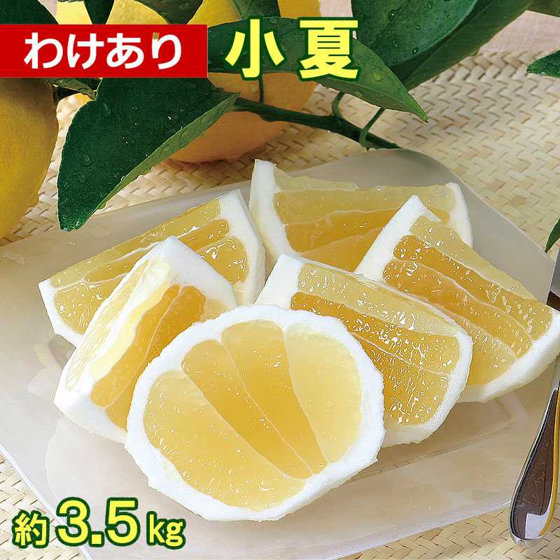 楽天市場】【セール】小夏こつぶちゃん 約3キロ家庭用【ご自宅用