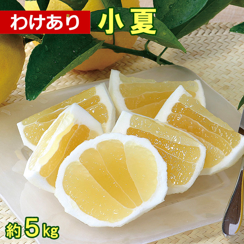 本州内○送料無料】【春季限定】【順次発送中】春かんきつお